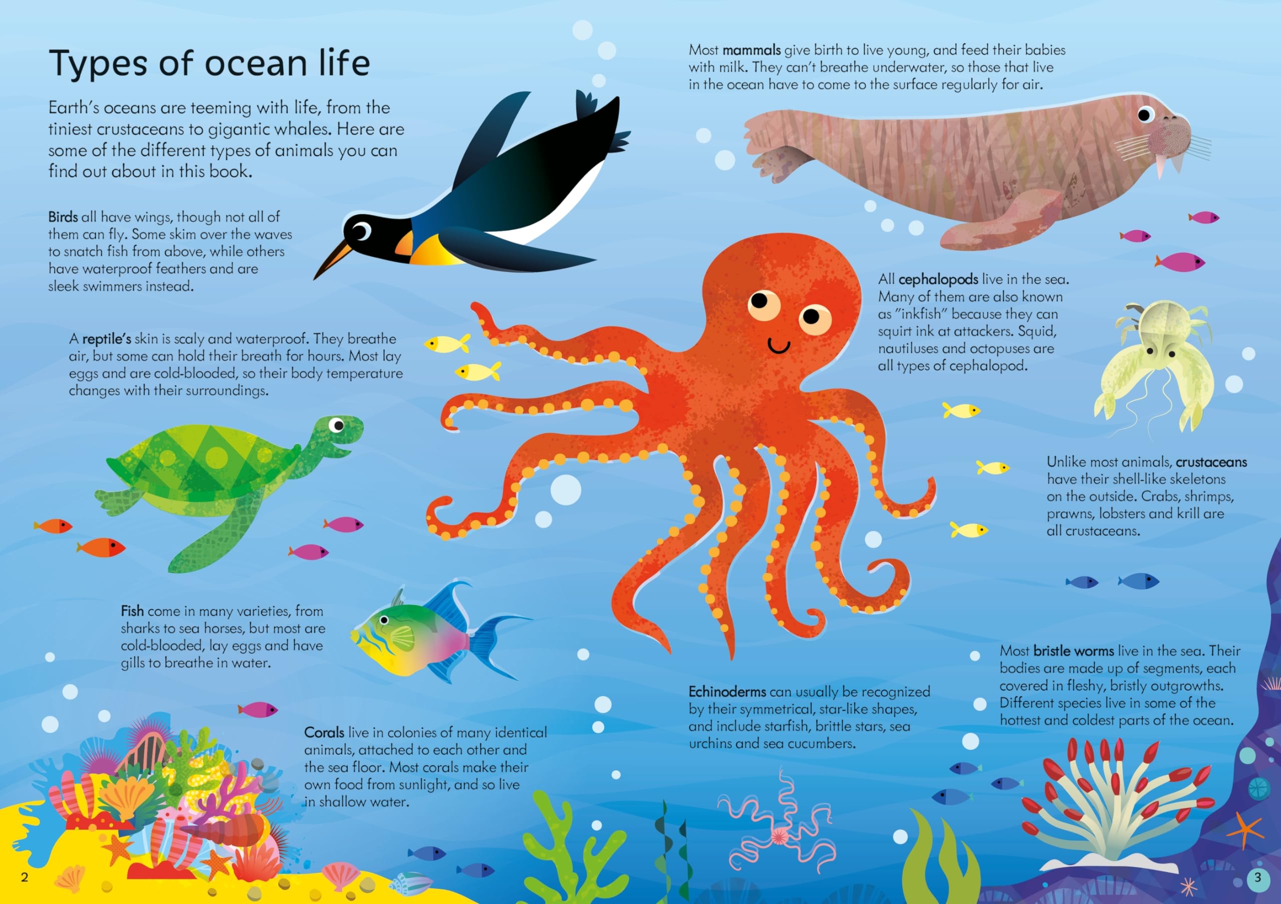 usborne book and jigsaw oceans
