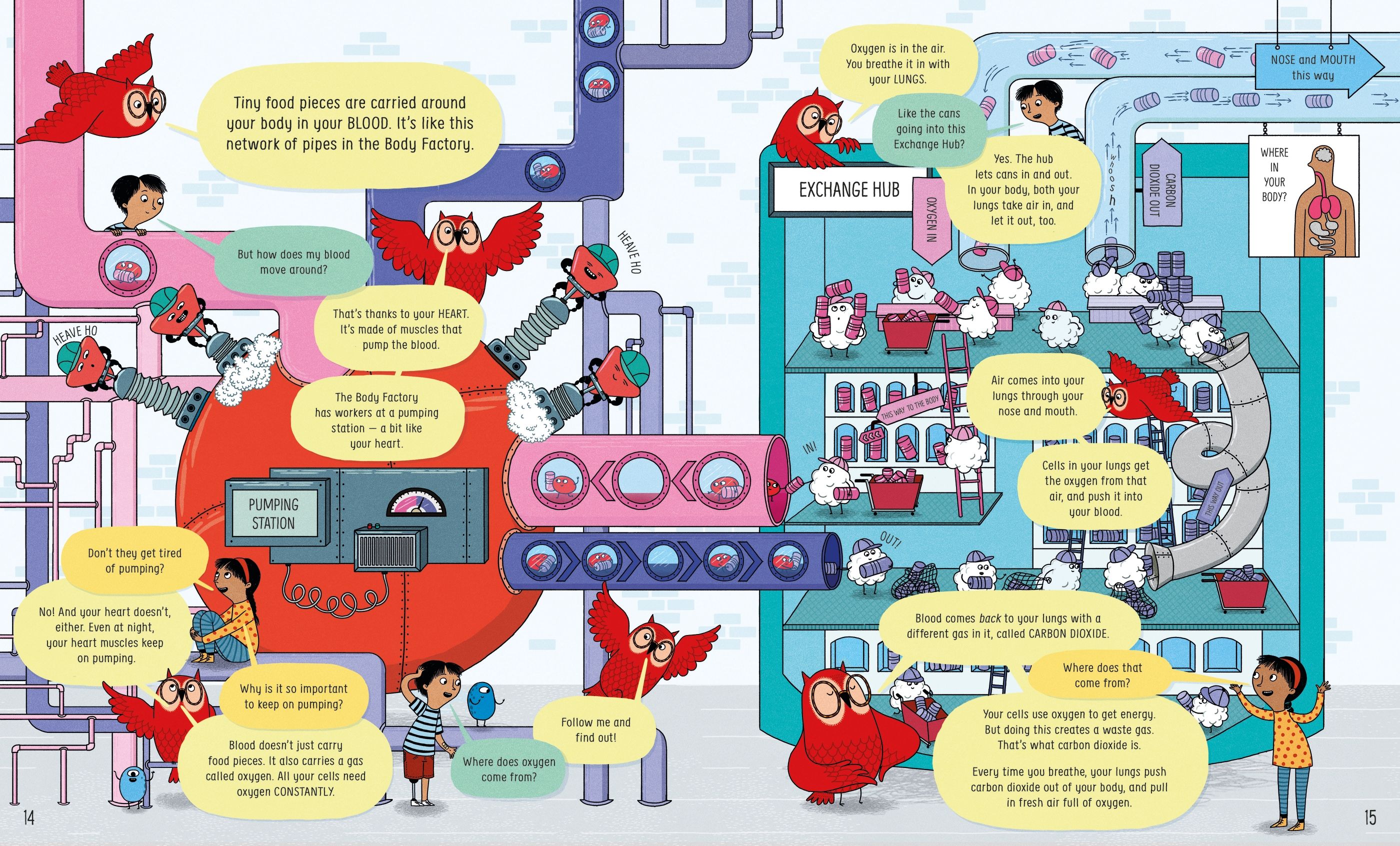 usborne book of the body and how it works