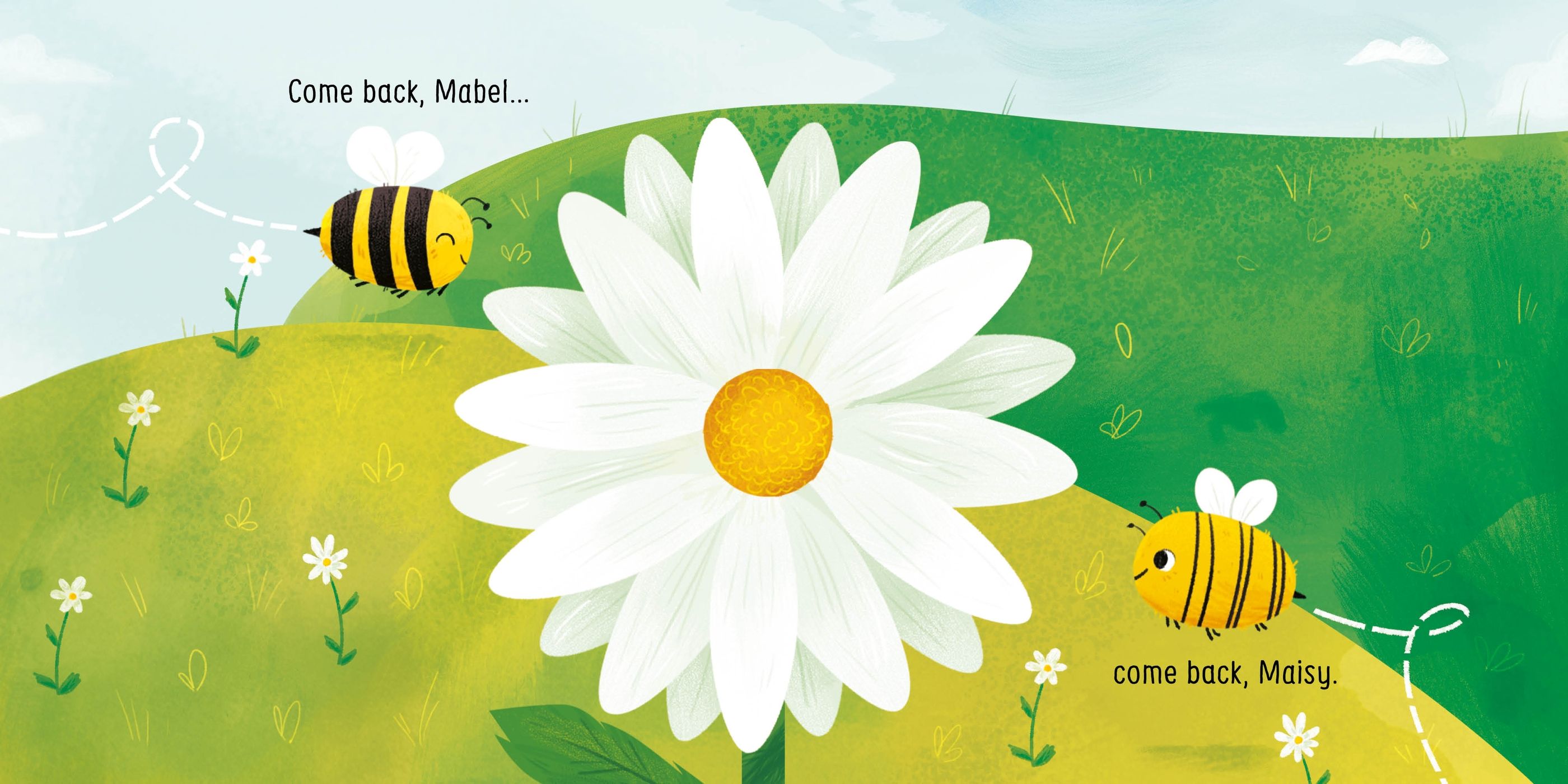 usborne little board books: two little dickie birds sitting on a wall