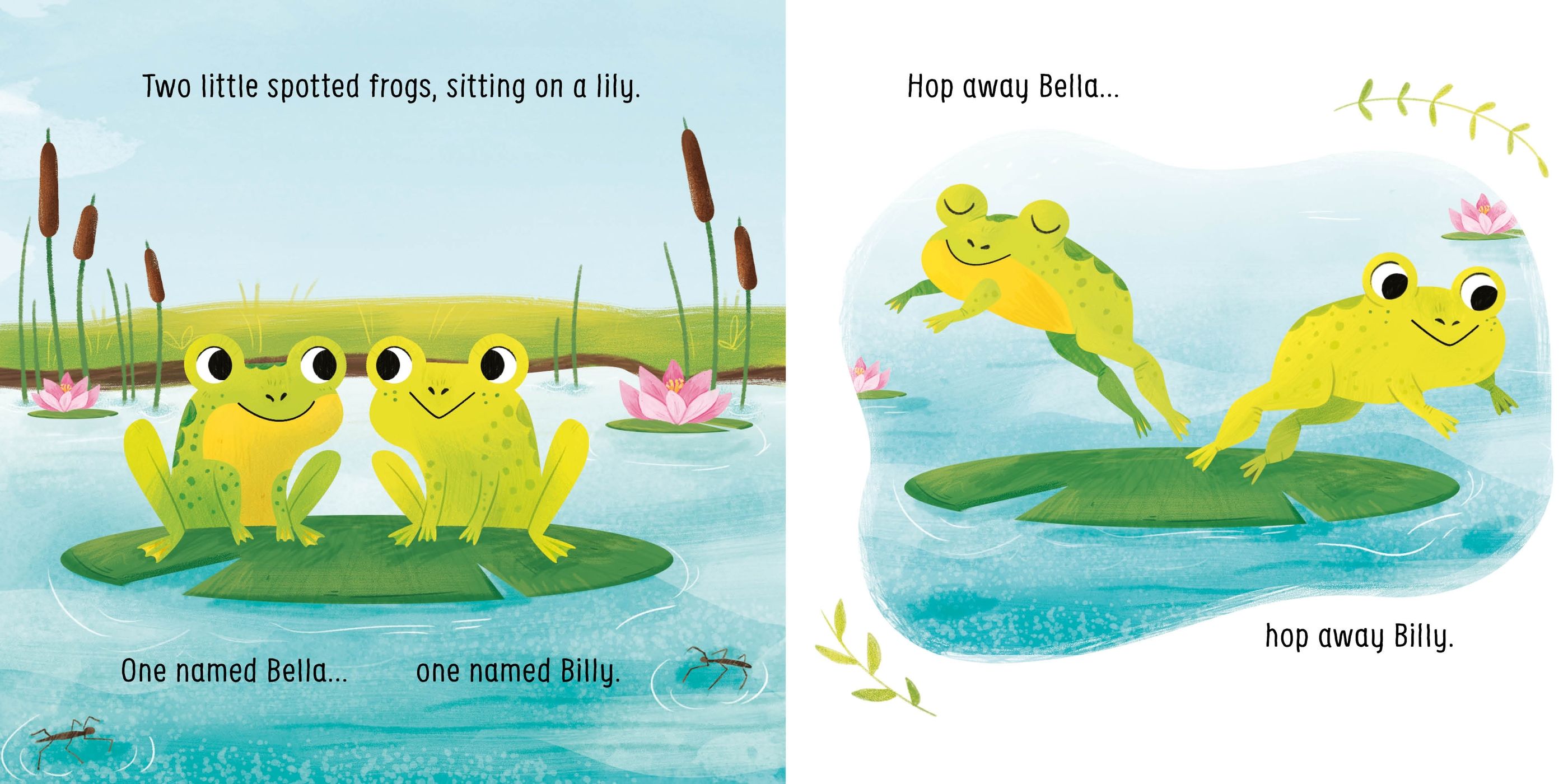 usborne little board books: two little dickie birds sitting on a wall