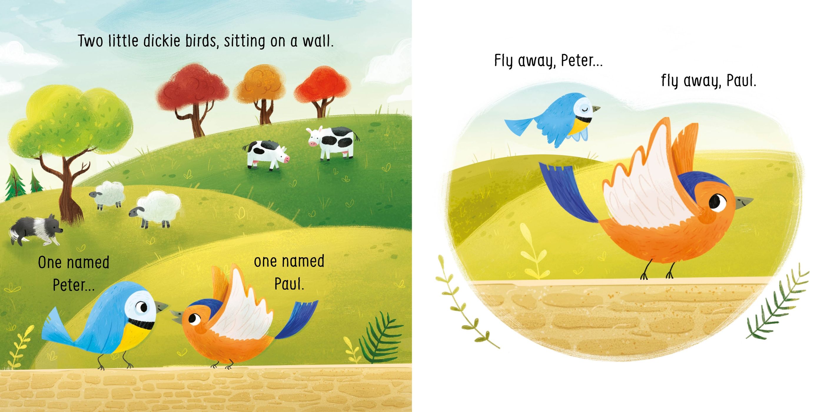 usborne little board books: two little dickie birds sitting on a wall