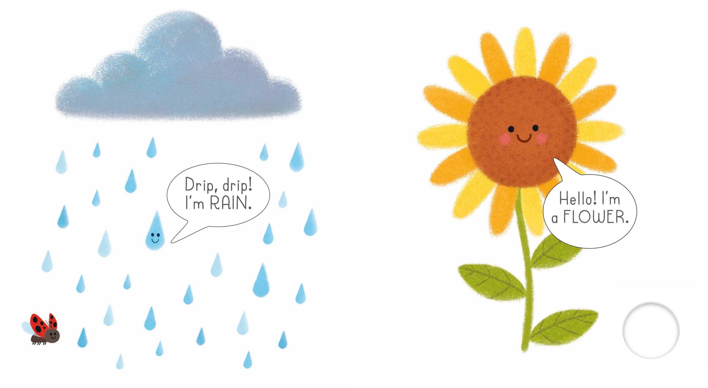 usborne very first words library: garden