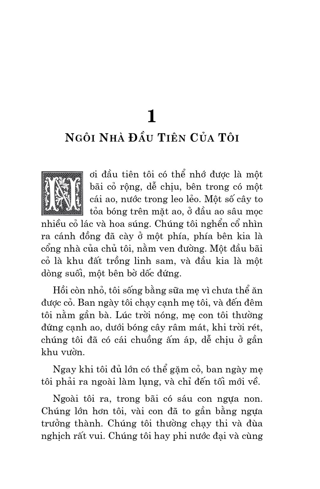 văn học cổ điển - ngựa ô yêu dấu (tái bản 2023)