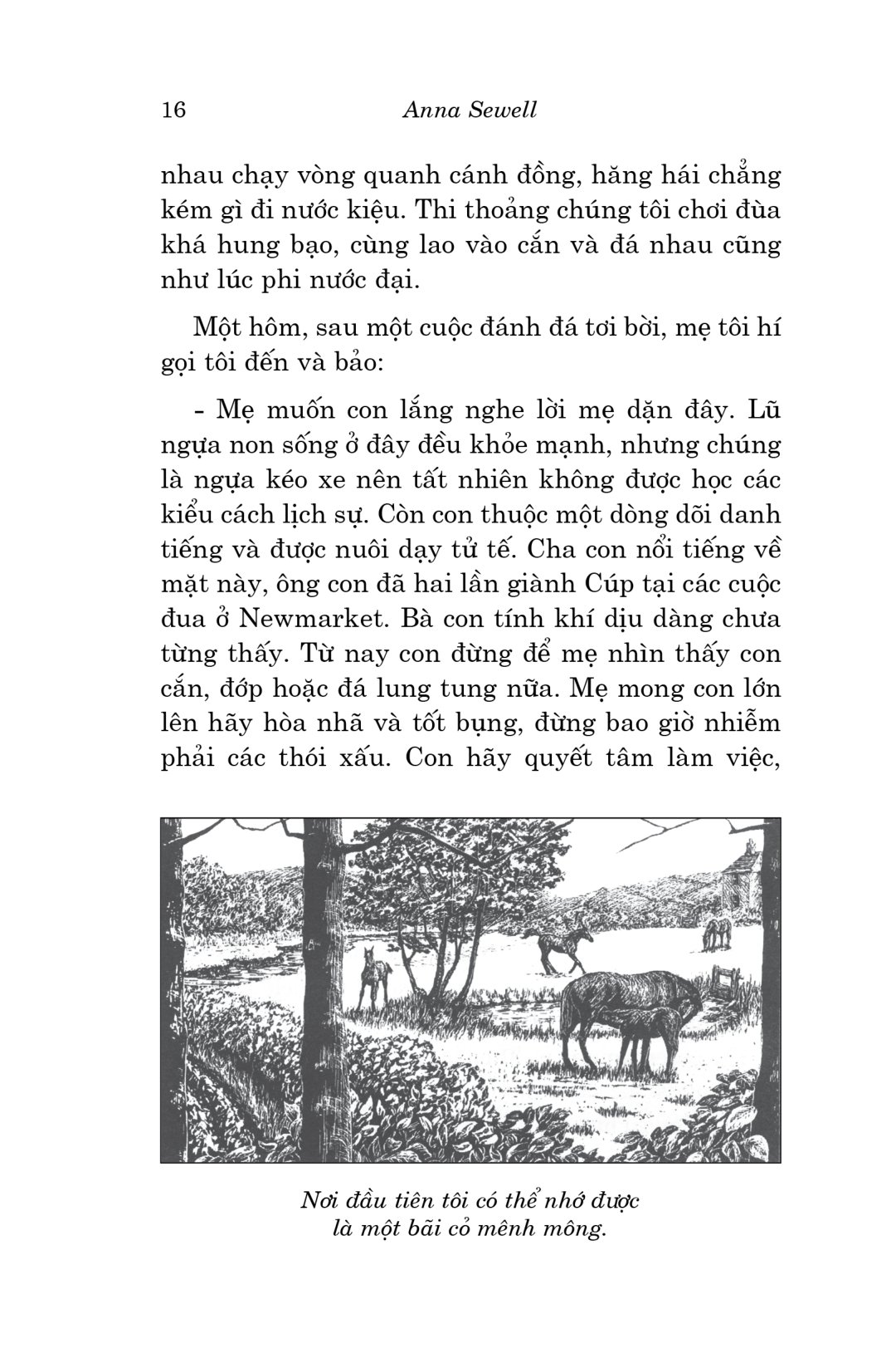 văn học cổ điển - ngựa ô yêu dấu (tái bản 2023)