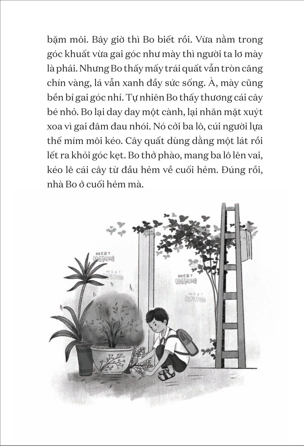 văn học tuổi hoa - cây quất xù gai