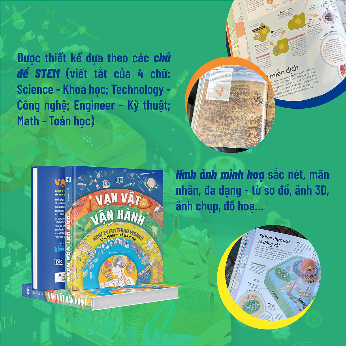 vạn vật vận hành - how everything works - bìa cứng