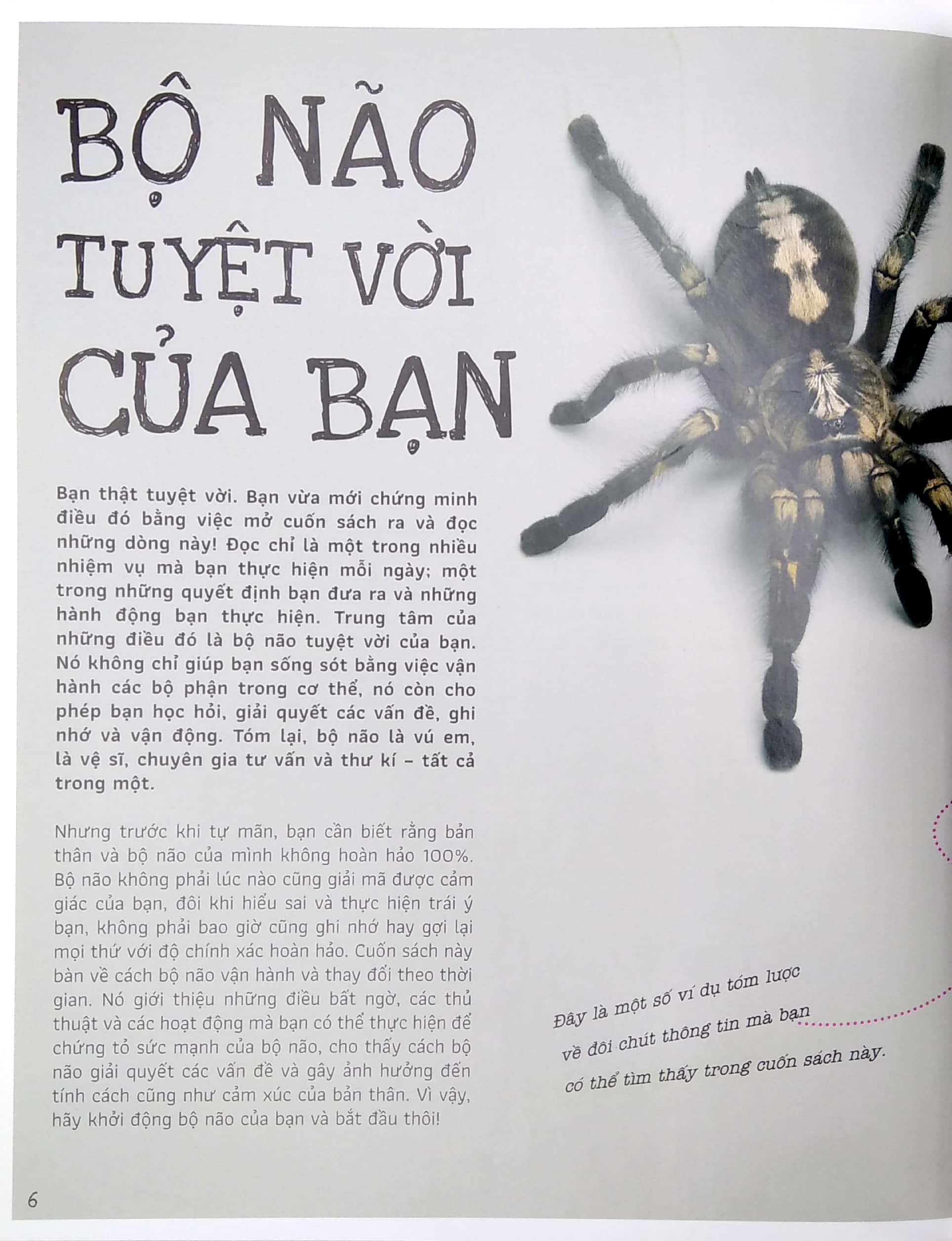 vặn vẹo trí não - nghĩ một đằng, thấy một nẻo