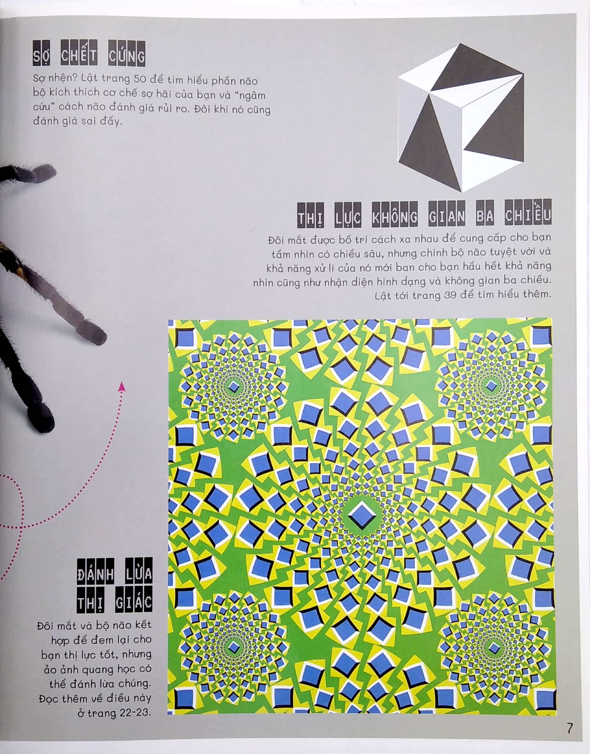 vặn vẹo trí não - nghĩ một đằng, thấy một nẻo