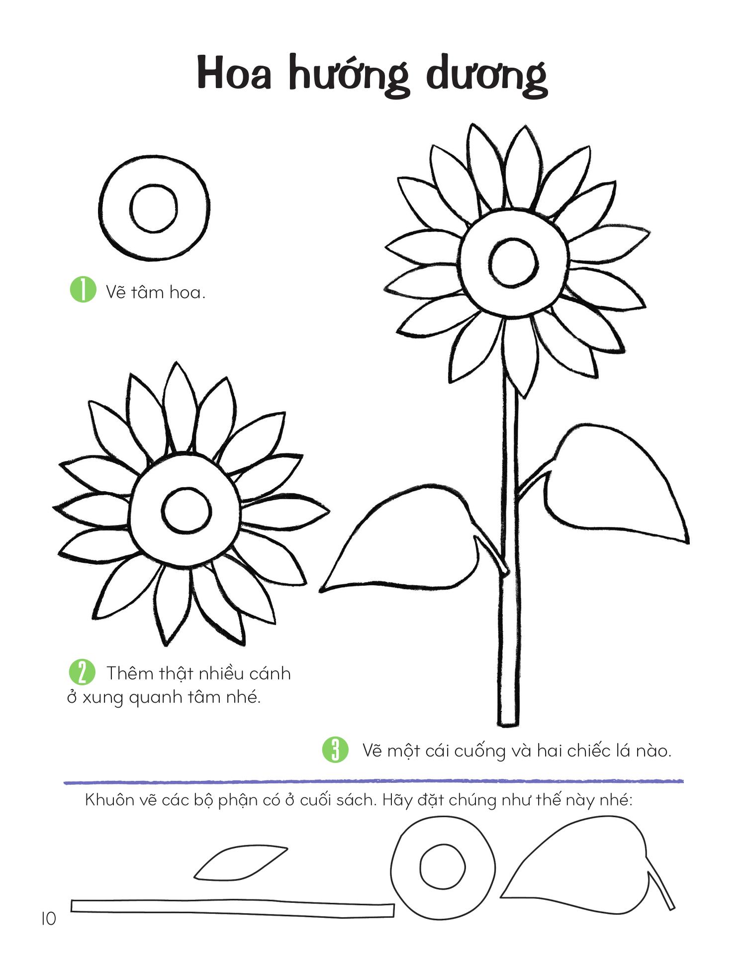 Ve Cay Va Hoa Bang Khuon Hinh Sang Tao