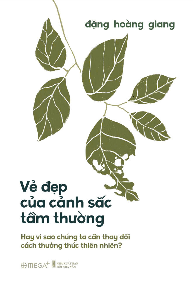 vẻ đẹp của cảnh sắc tầm thường - hay vì sao chúng ta cần thay đổi cách thưởng thức thiên nhiên?
