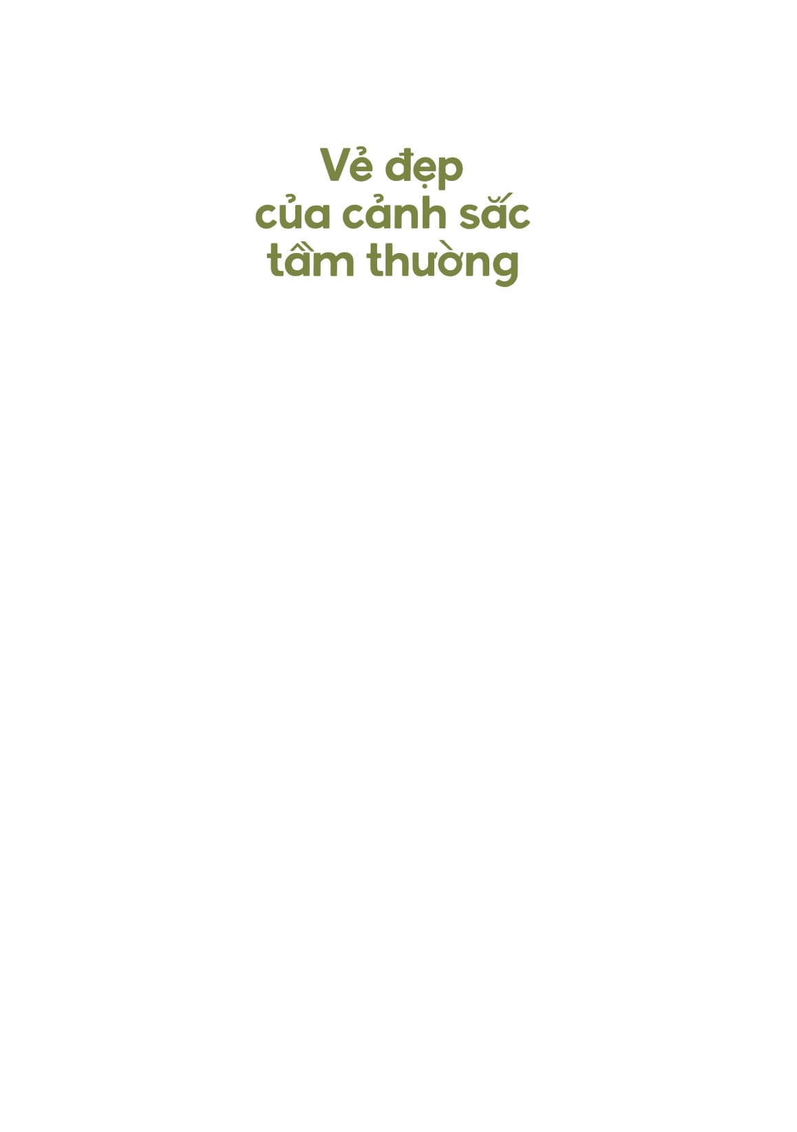 vẻ đẹp của cảnh sắc tầm thường - hay vì sao chúng ta cần thay đổi cách thưởng thức thiên nhiên?
