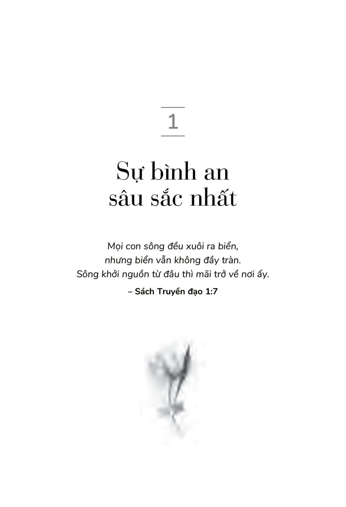 vẻ đẹp của những điều còn lại