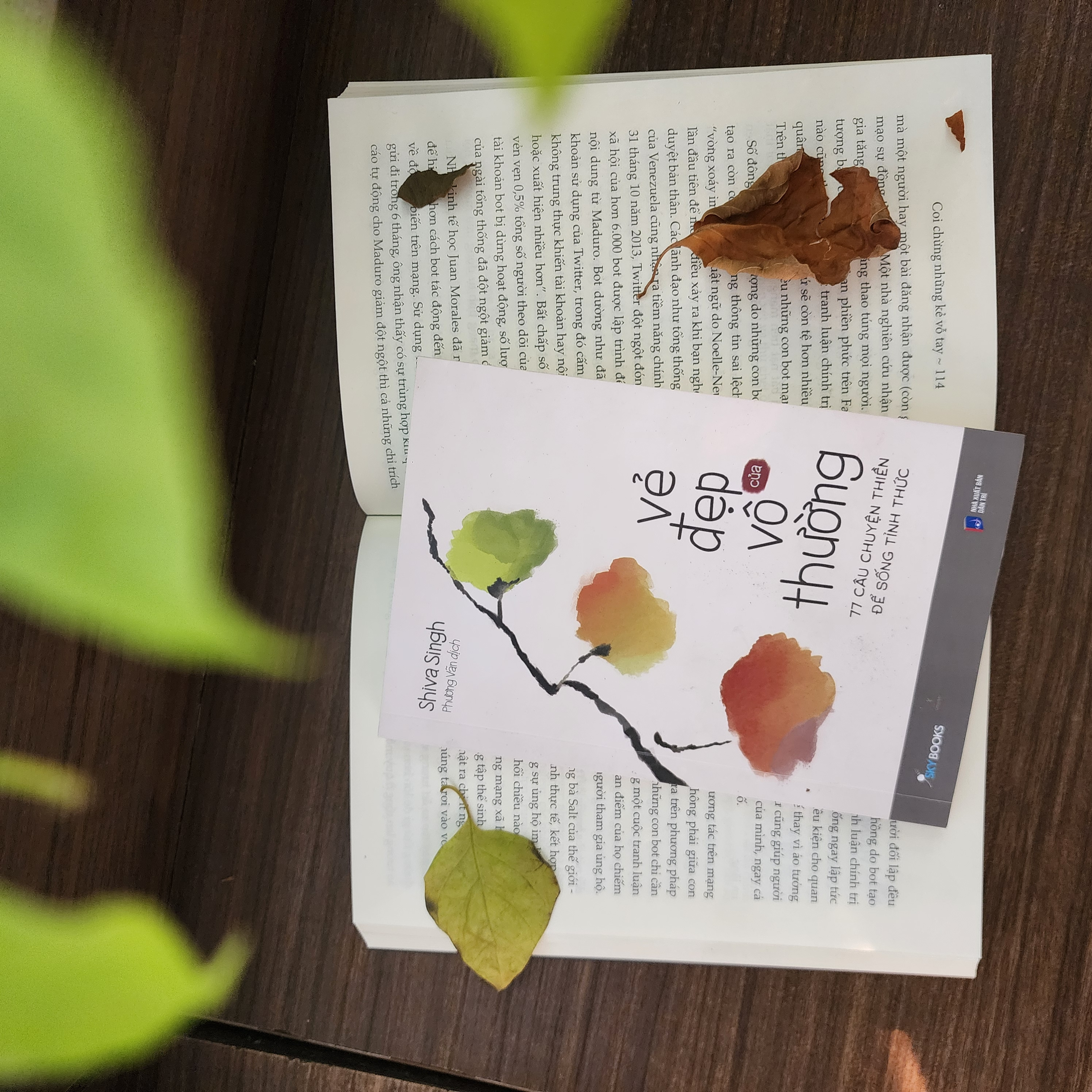 vẻ đẹp của vô thường - 77 câu chuyện thiền để sống tỉnh thức