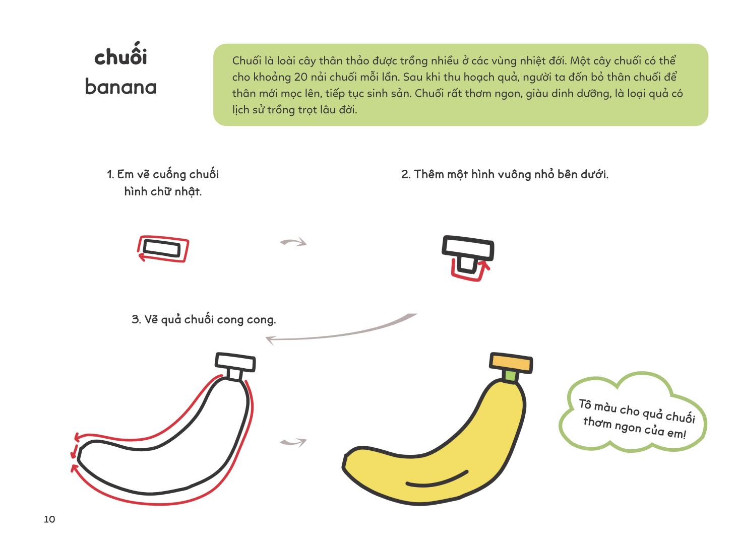 vẽ vạn vật từ những nét đơn giản - vẽ cỏ cây hoa lá