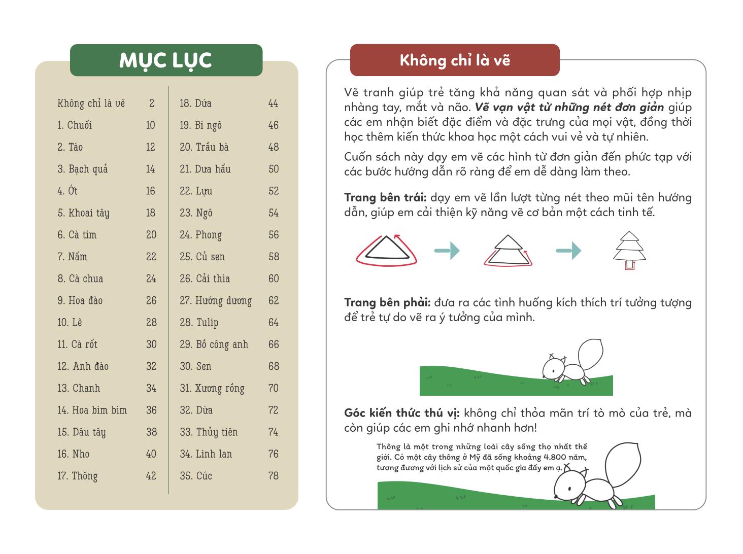 vẽ vạn vật từ những nét đơn giản - vẽ cỏ cây hoa lá