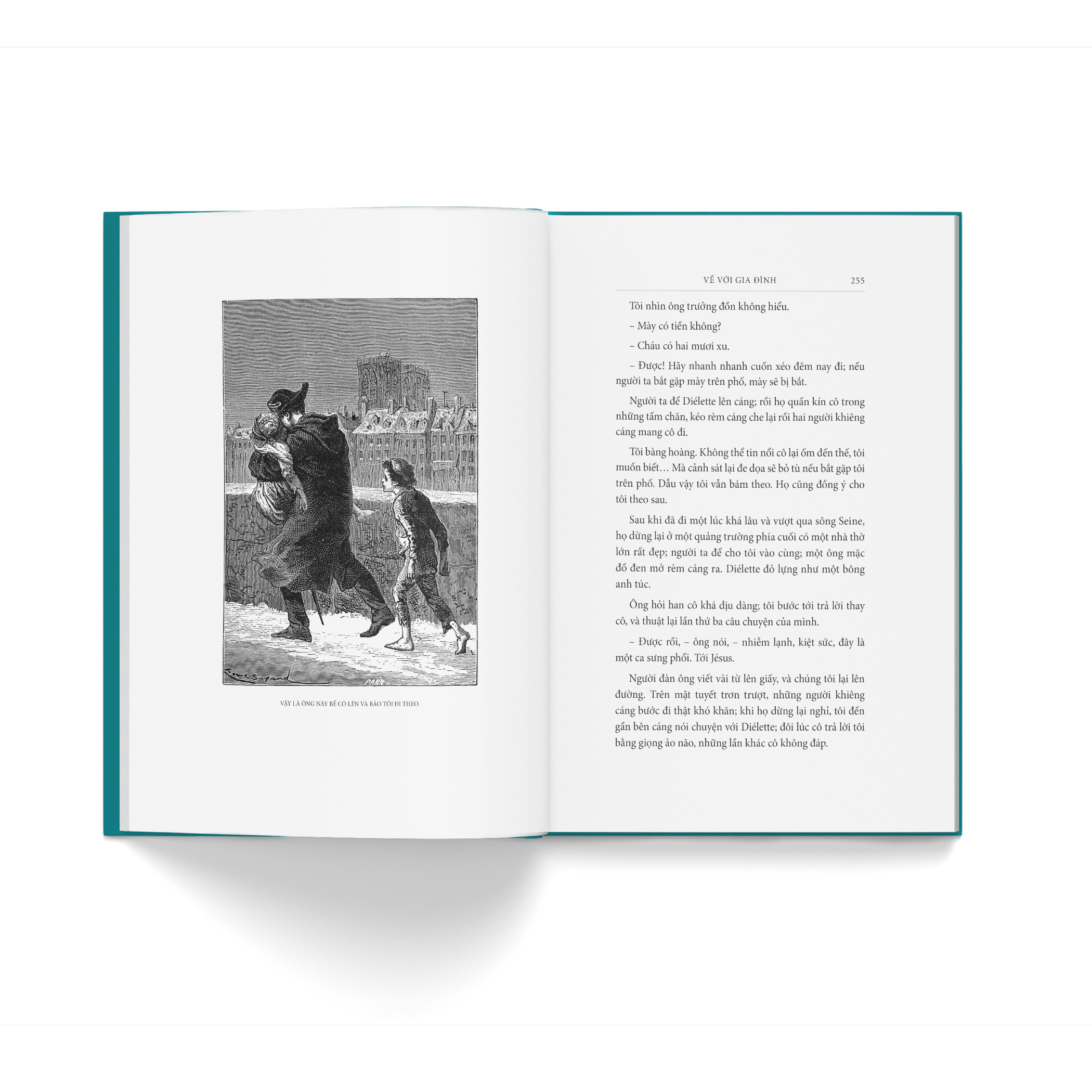 Ve Voi Gia Dinh - Bia Vai