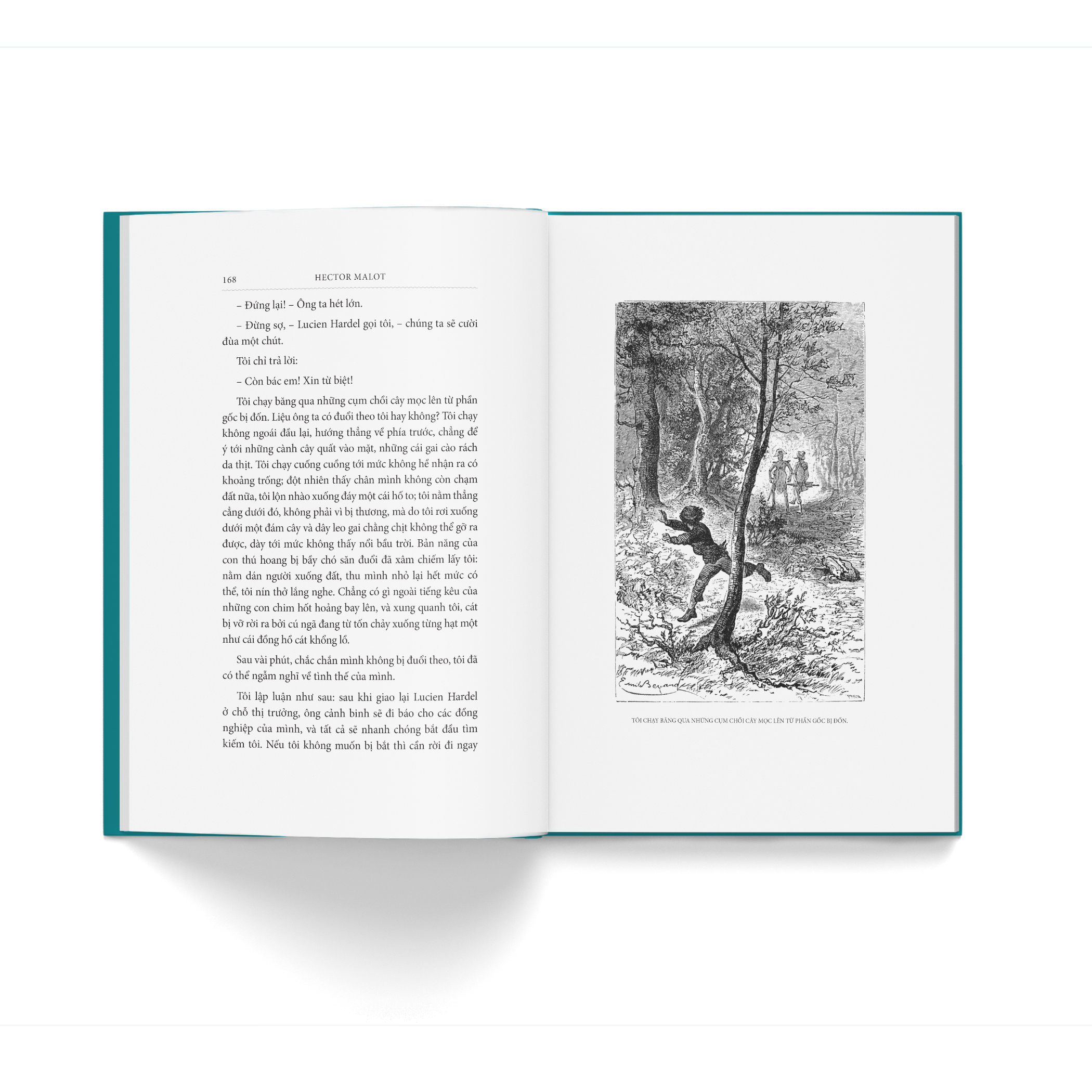 Ve Voi Gia Dinh - Bia Vai