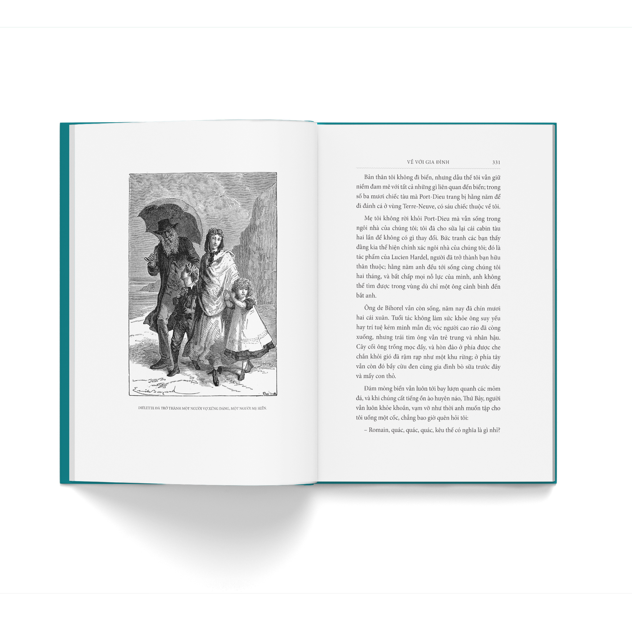 Ve Voi Gia Dinh - Bia Vai