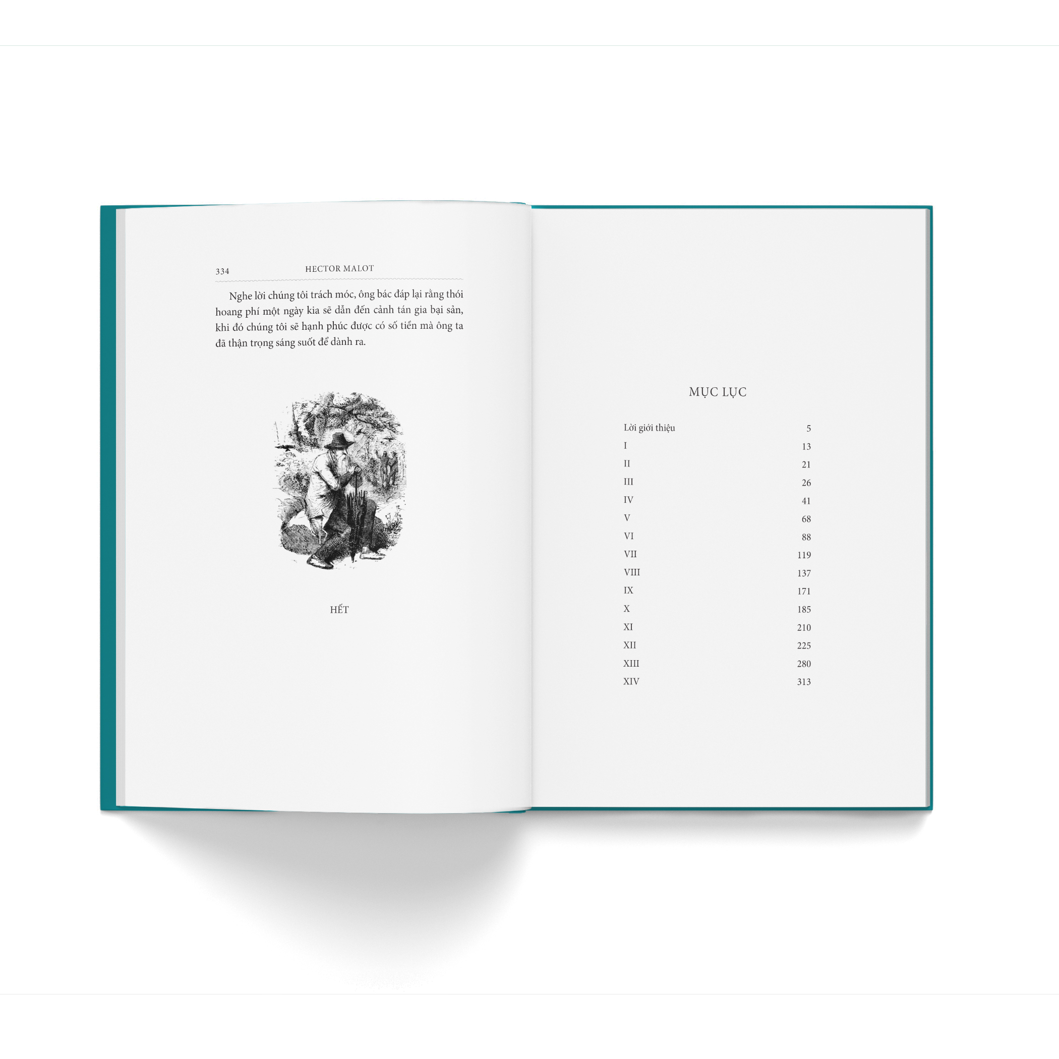 Ve Voi Gia Dinh - Bia Vai