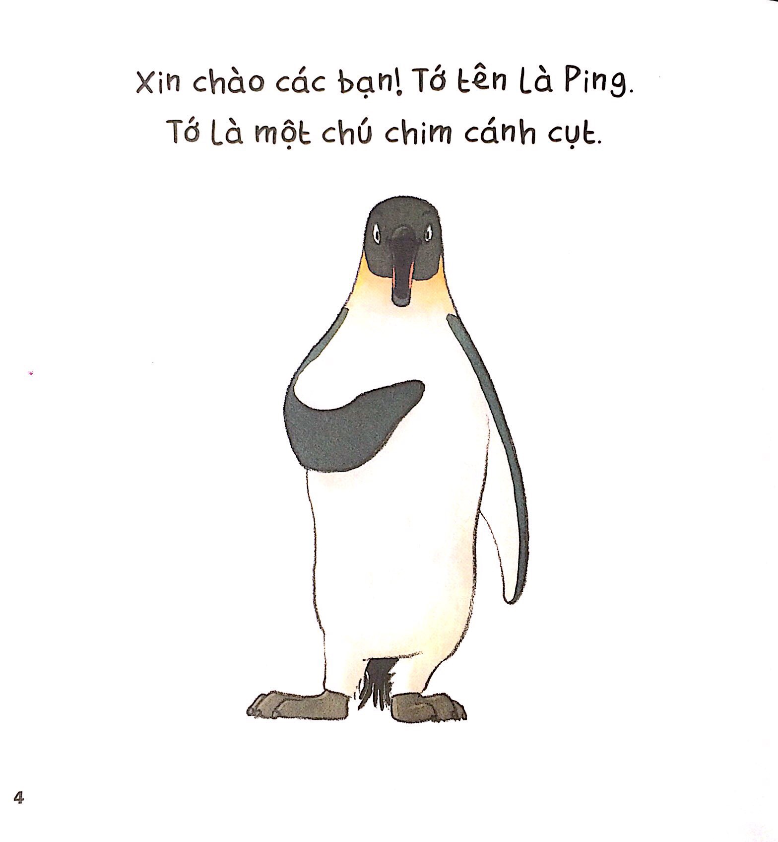 vẽ vui - vui vẽ - cặp bài trùng ping pong