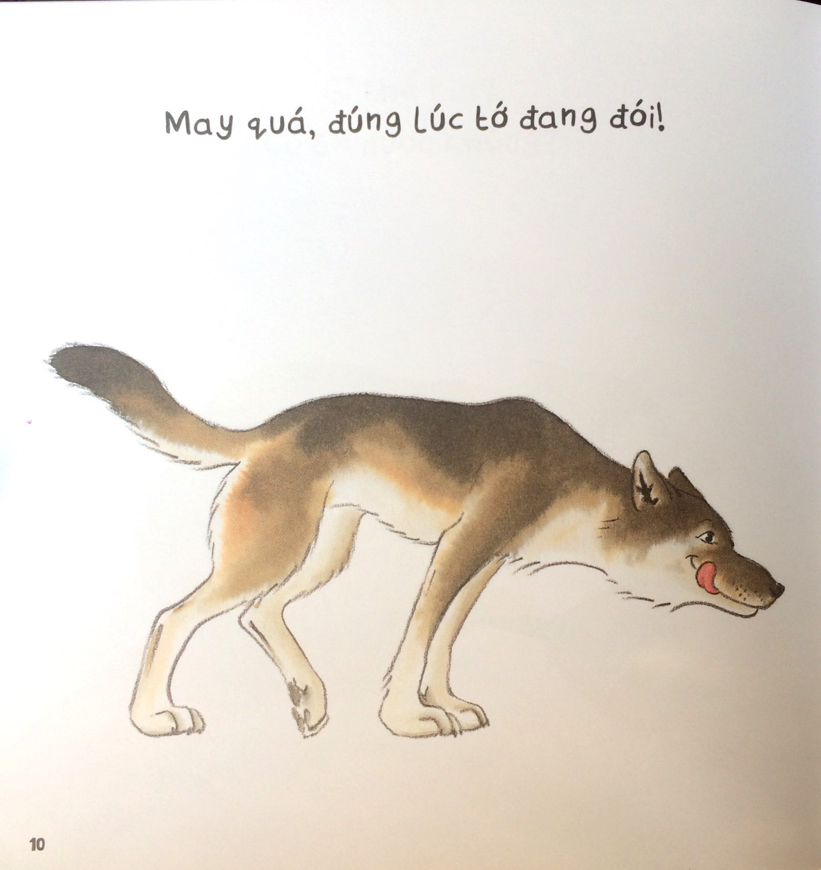 vẽ vui - vui vẽ - chó sói đói tham ăn