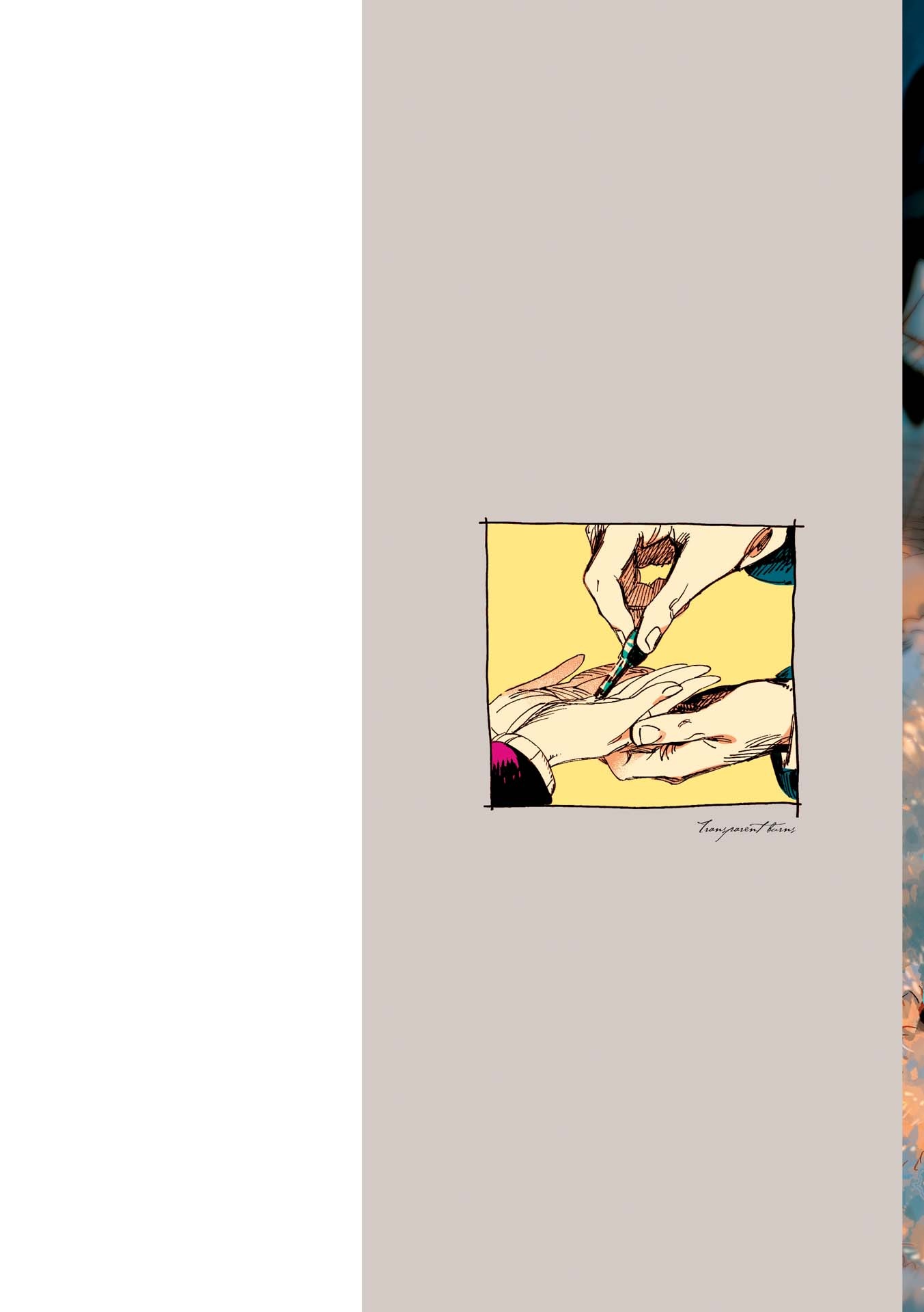 veil 4 - transparent burns