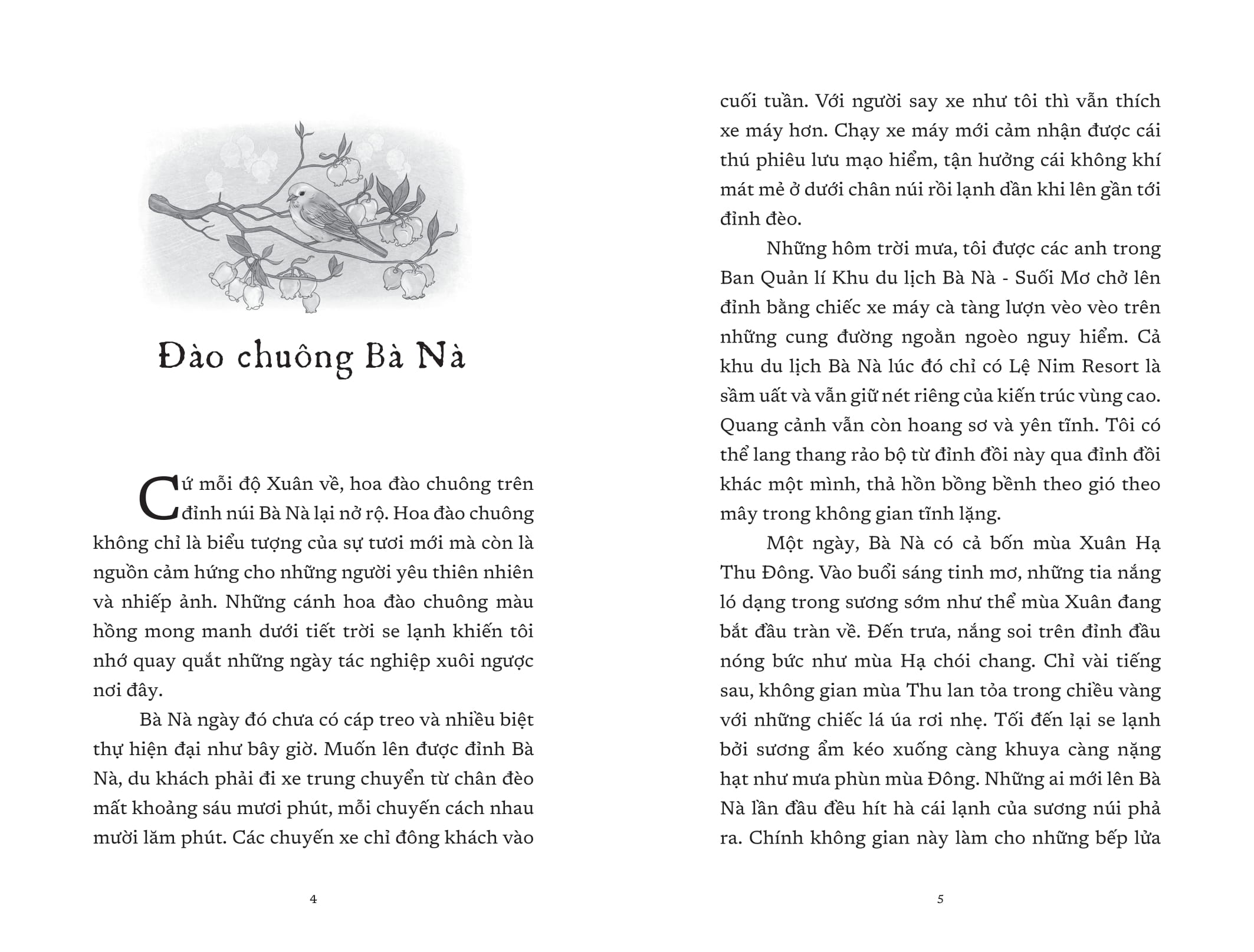 vết cũ ngày mưa