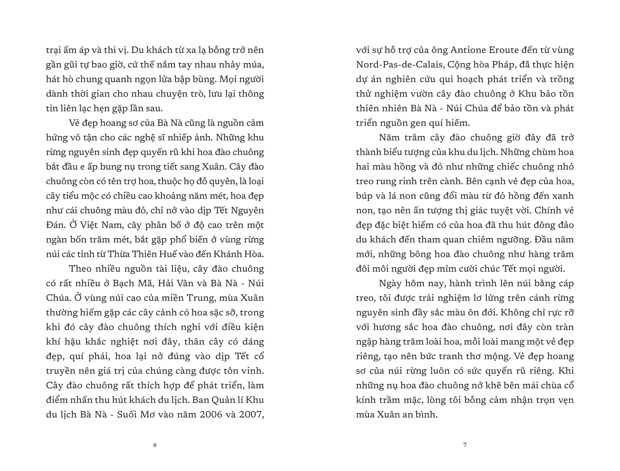 vết cũ ngày mưa