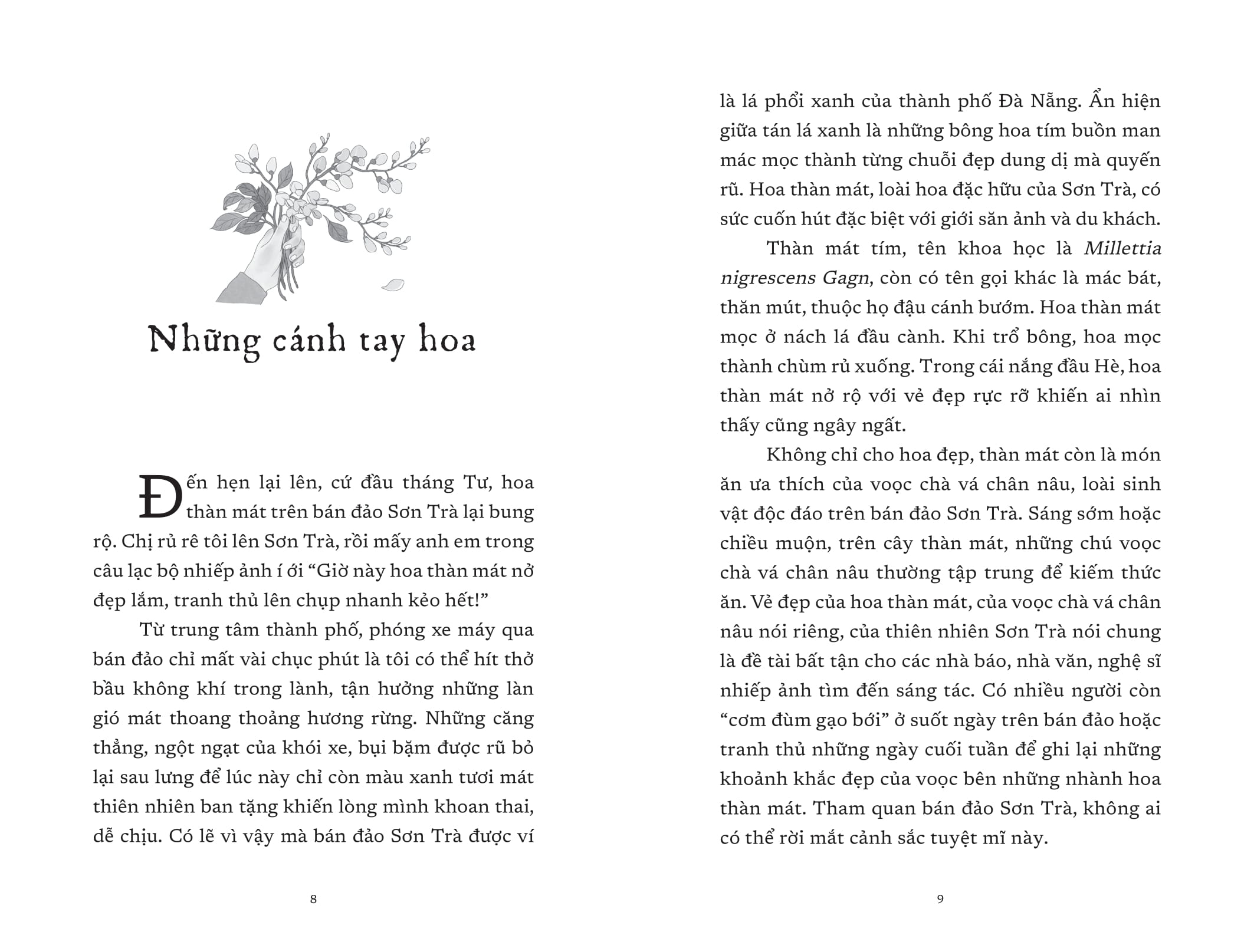 vết cũ ngày mưa