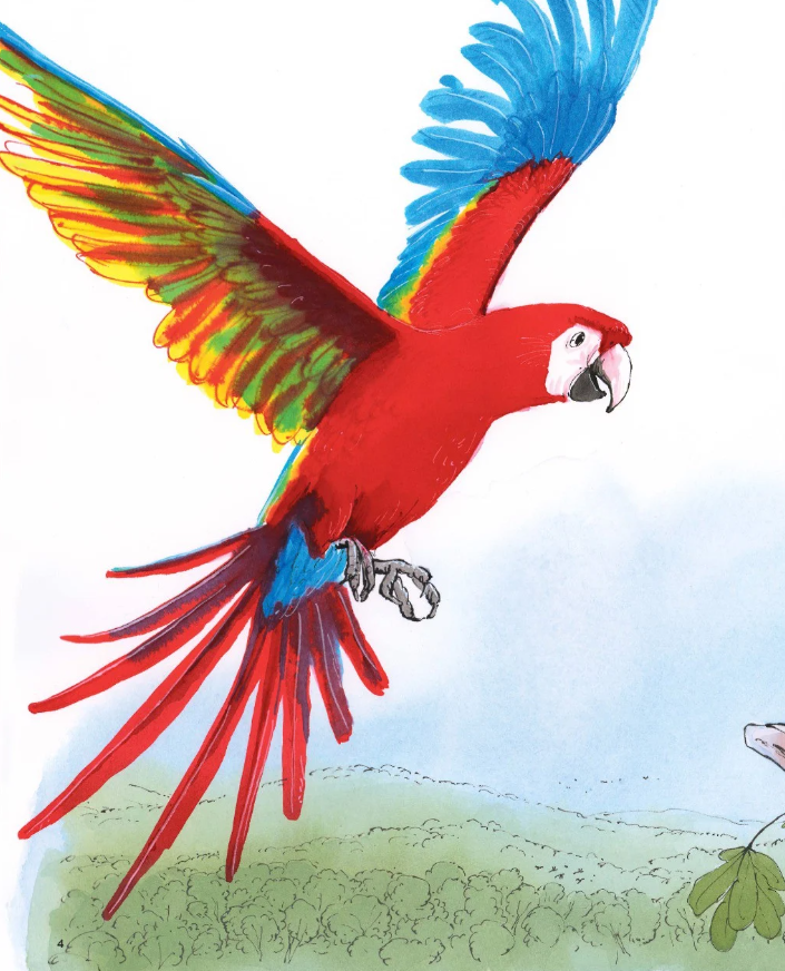 vẹt đuôi dài đã trông thấy gì?