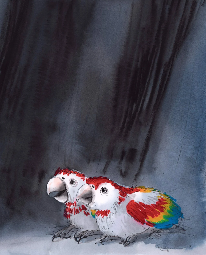 vẹt đuôi dài đã trông thấy gì?