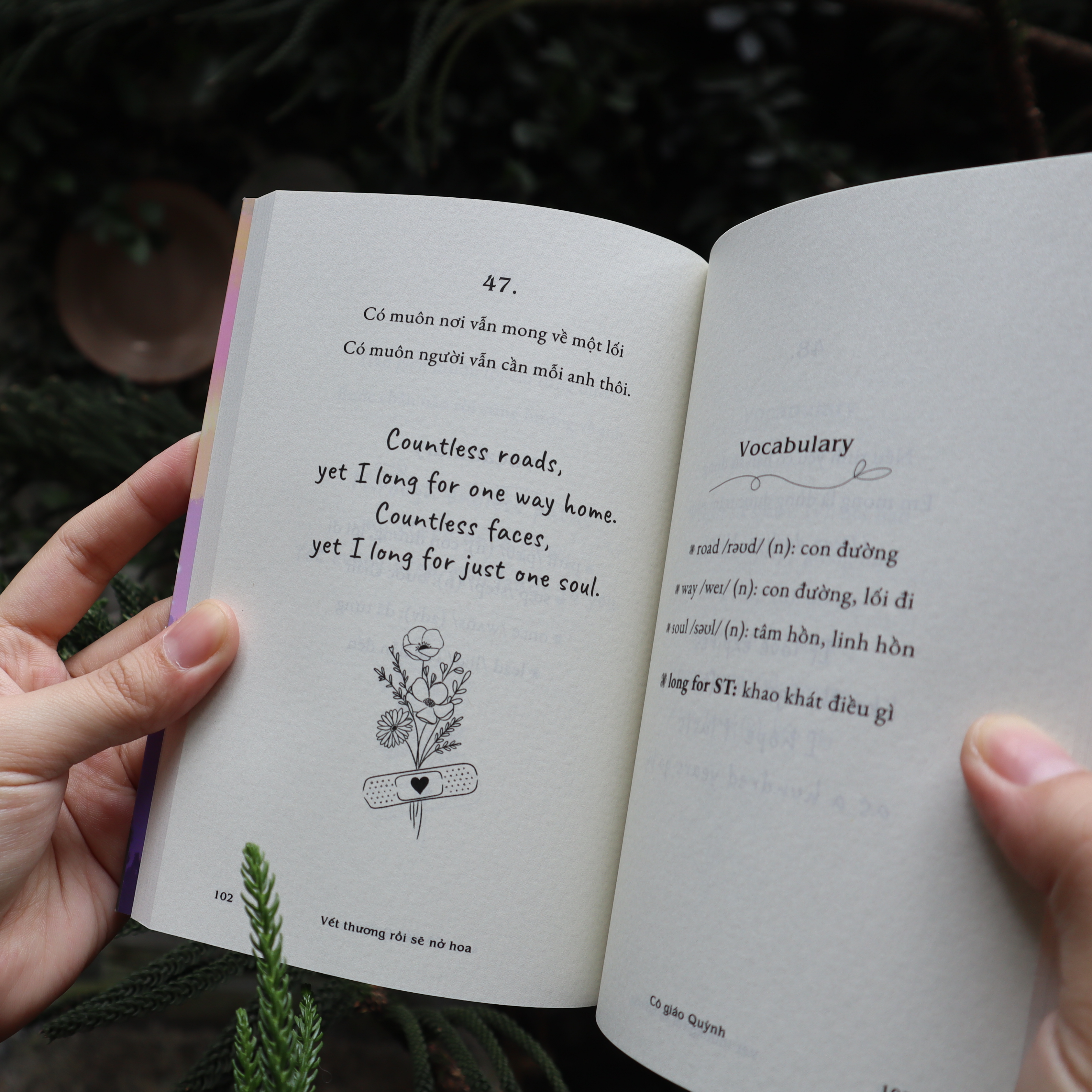 Vet Thuong Roi Se No Hoa