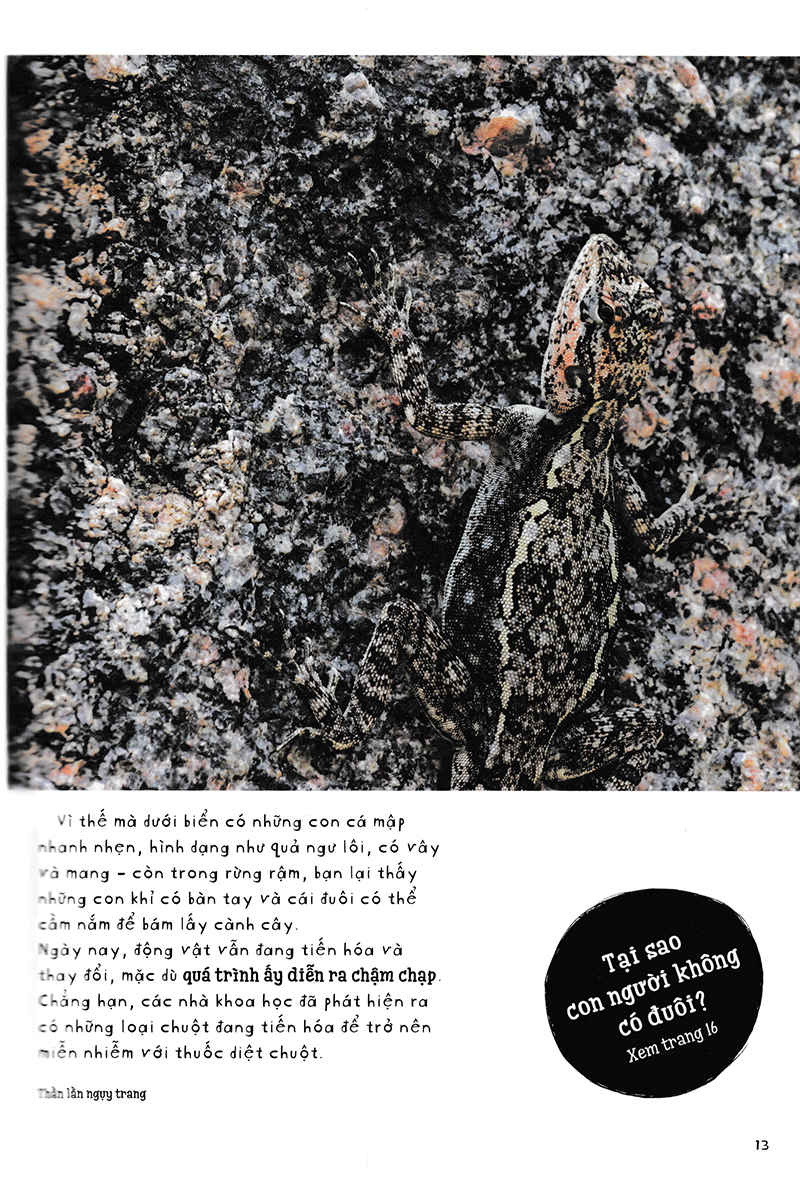 vì sao cá không bị ngộp nước? (và những câu hỏi then chốt khác về giới động vật) (tái bản 2019)