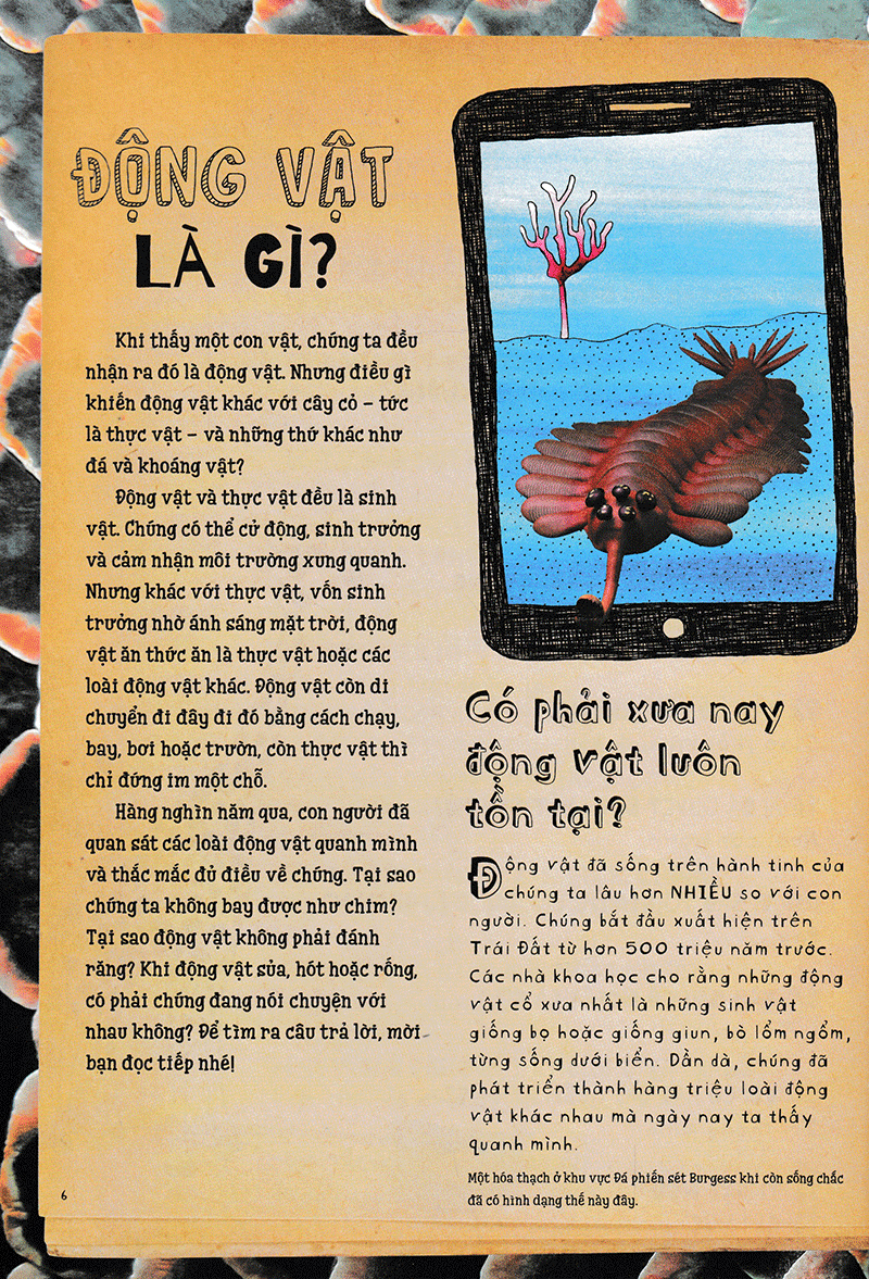 vì sao cá không bị ngộp nước? (và những câu hỏi then chốt khác về giới động vật) (tái bản 2019)