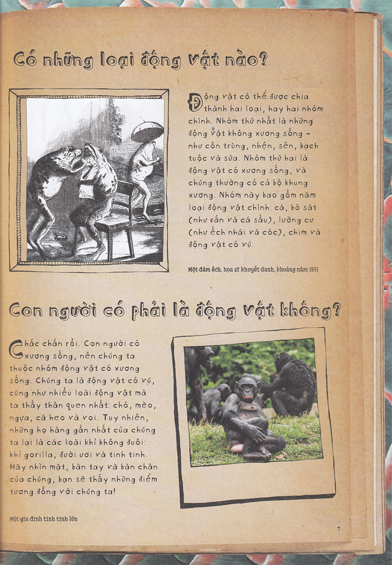 vì sao cá không bị ngộp nước? (và những câu hỏi then chốt khác về giới động vật) (tái bản 2019)