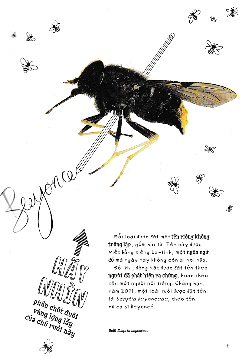 vì sao cá không bị ngộp nước? (và những câu hỏi then chốt khác về giới động vật) (tái bản 2019)