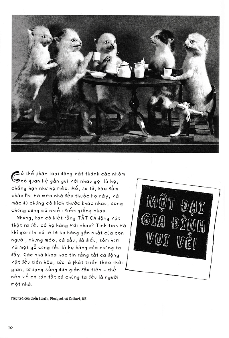 vì sao cá không bị ngộp nước? (và những câu hỏi then chốt khác về giới động vật) (tái bản 2019)