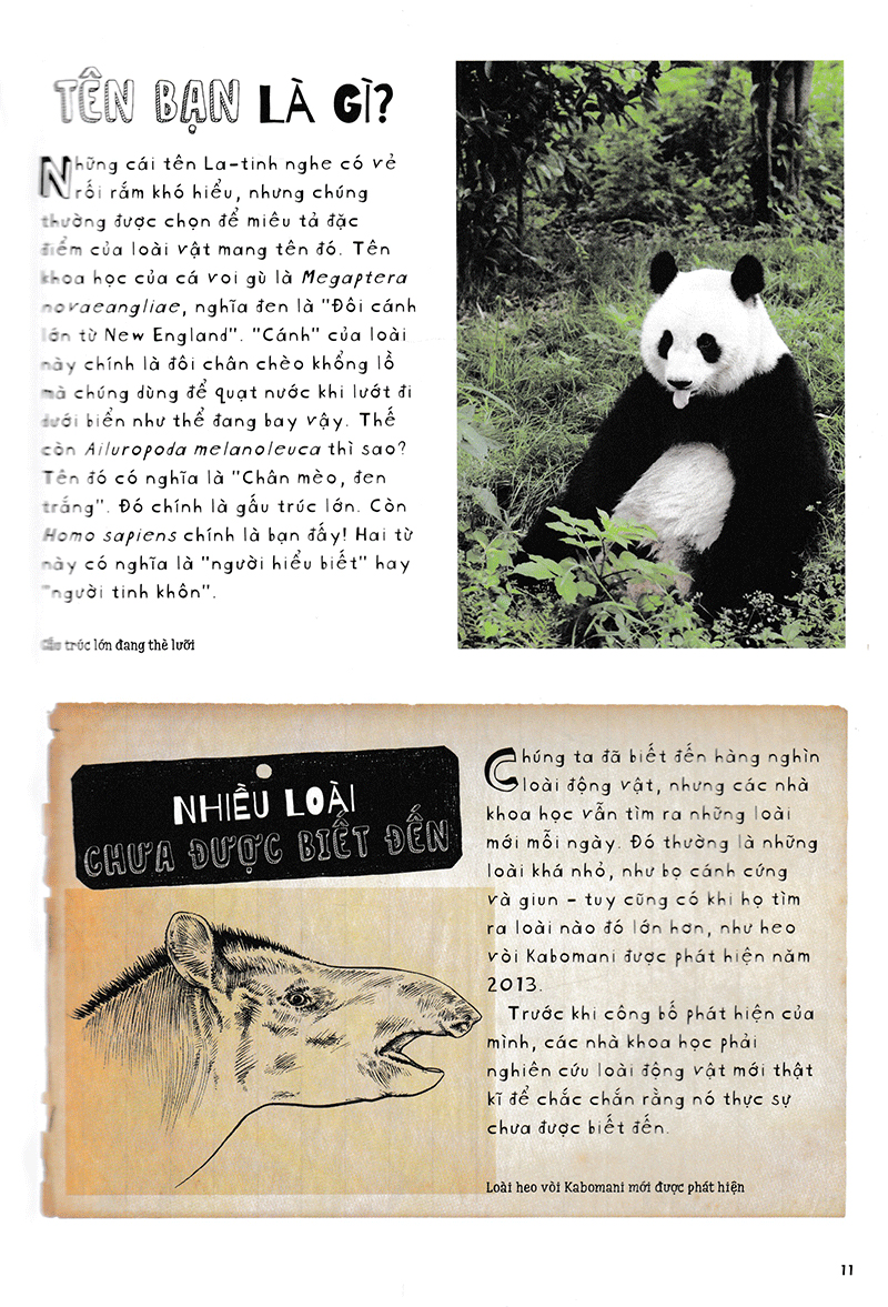 vì sao cá không bị ngộp nước? (và những câu hỏi then chốt khác về giới động vật) (tái bản 2019)