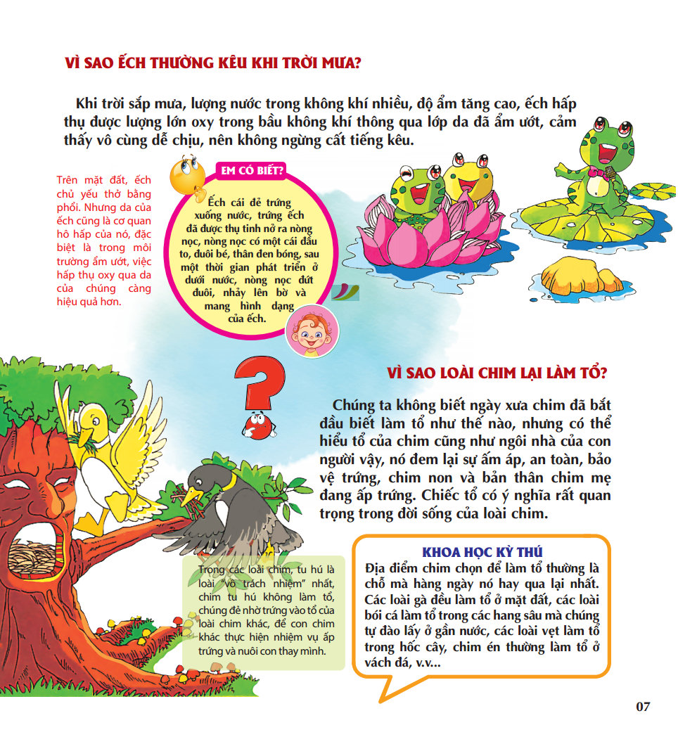 vì sao chim lại làm tổ