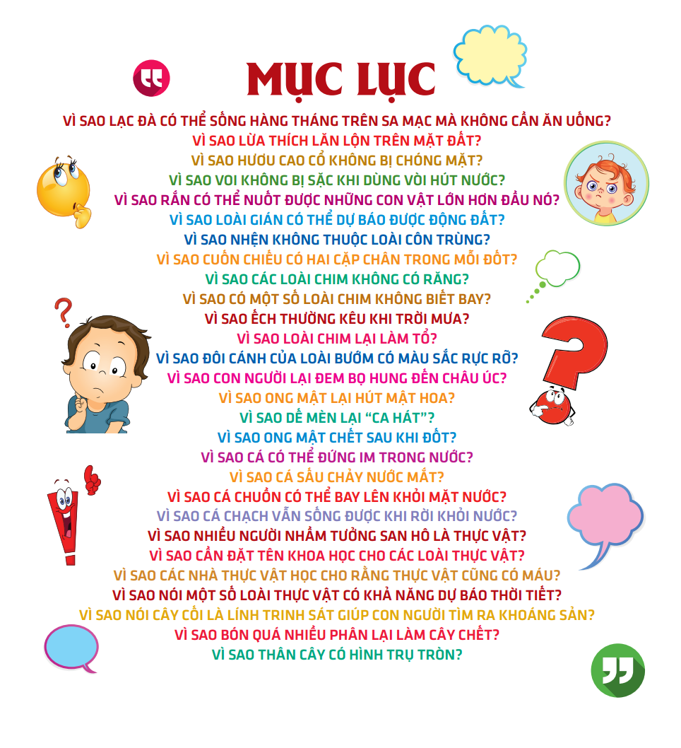 vì sao chim lại làm tổ