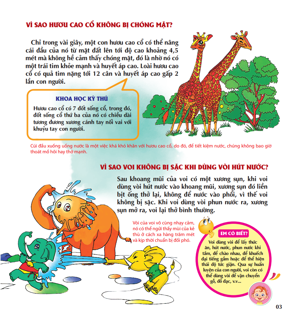 vì sao chim lại làm tổ