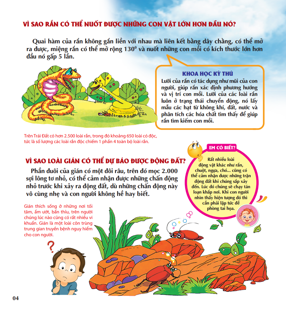 vì sao chim lại làm tổ