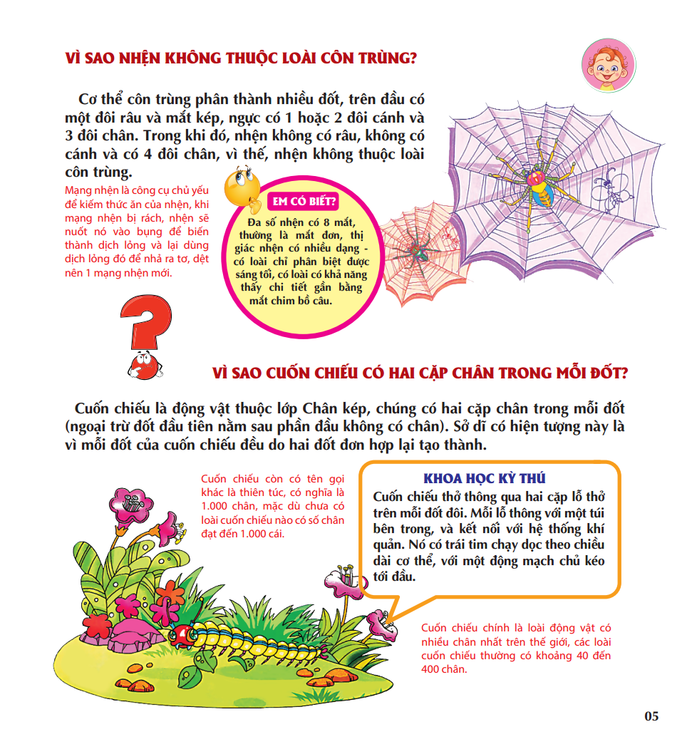 vì sao chim lại làm tổ