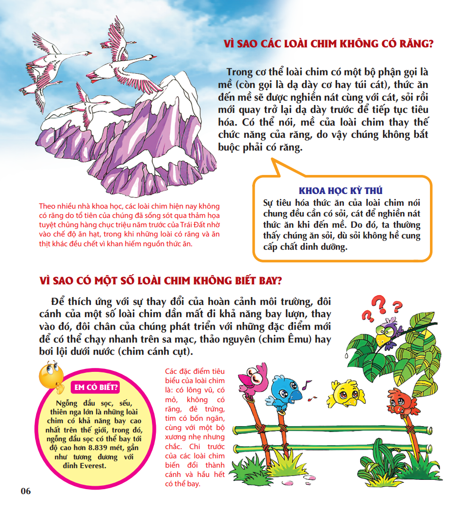 vì sao chim lại làm tổ