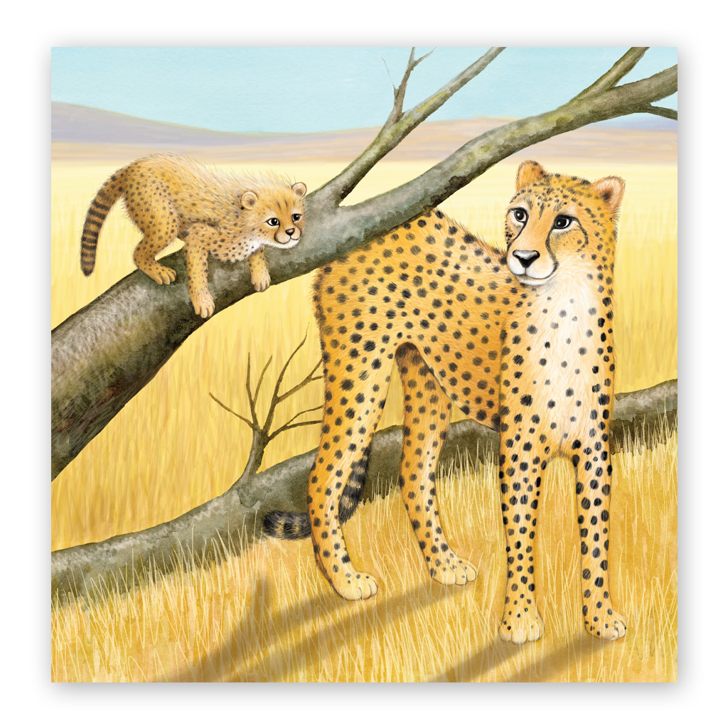 vì sao con trai cần bố