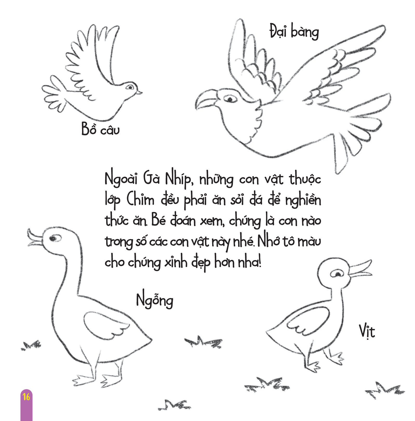 vì sao lại thế? - tập 9 - hàm răng gà nhíp