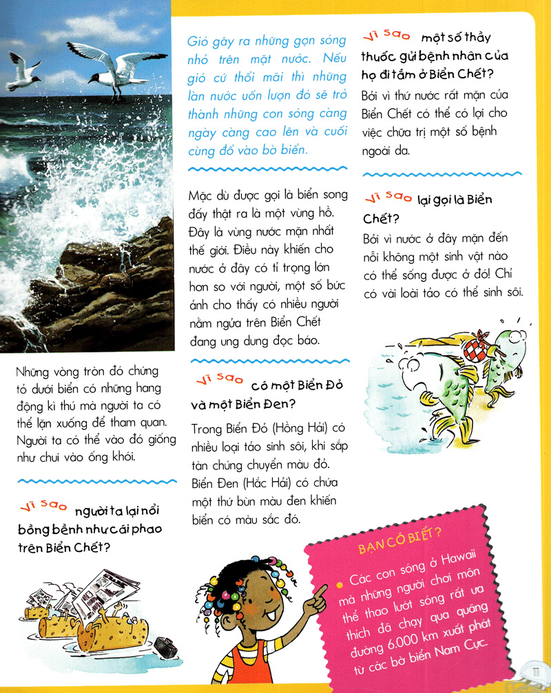 vì sao? như thế nào? biển (tái bản)