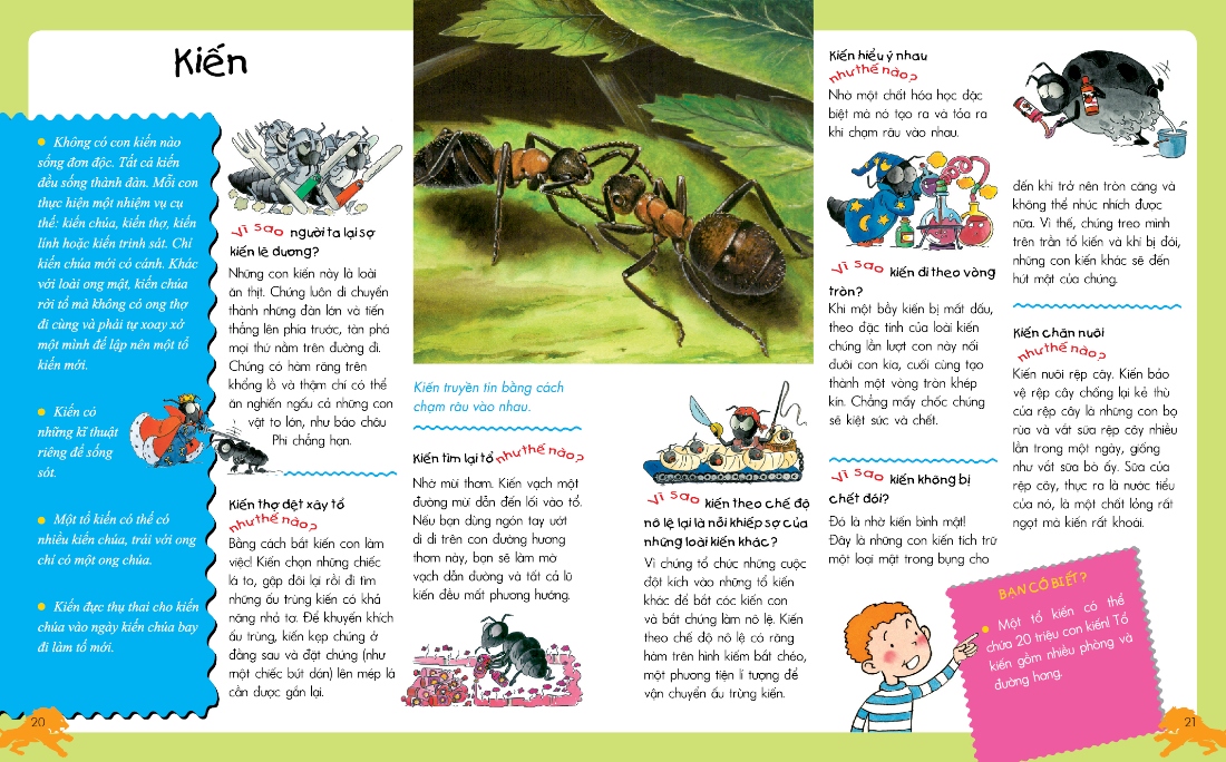 vì sao? như thế nào? động vật (tái bản)