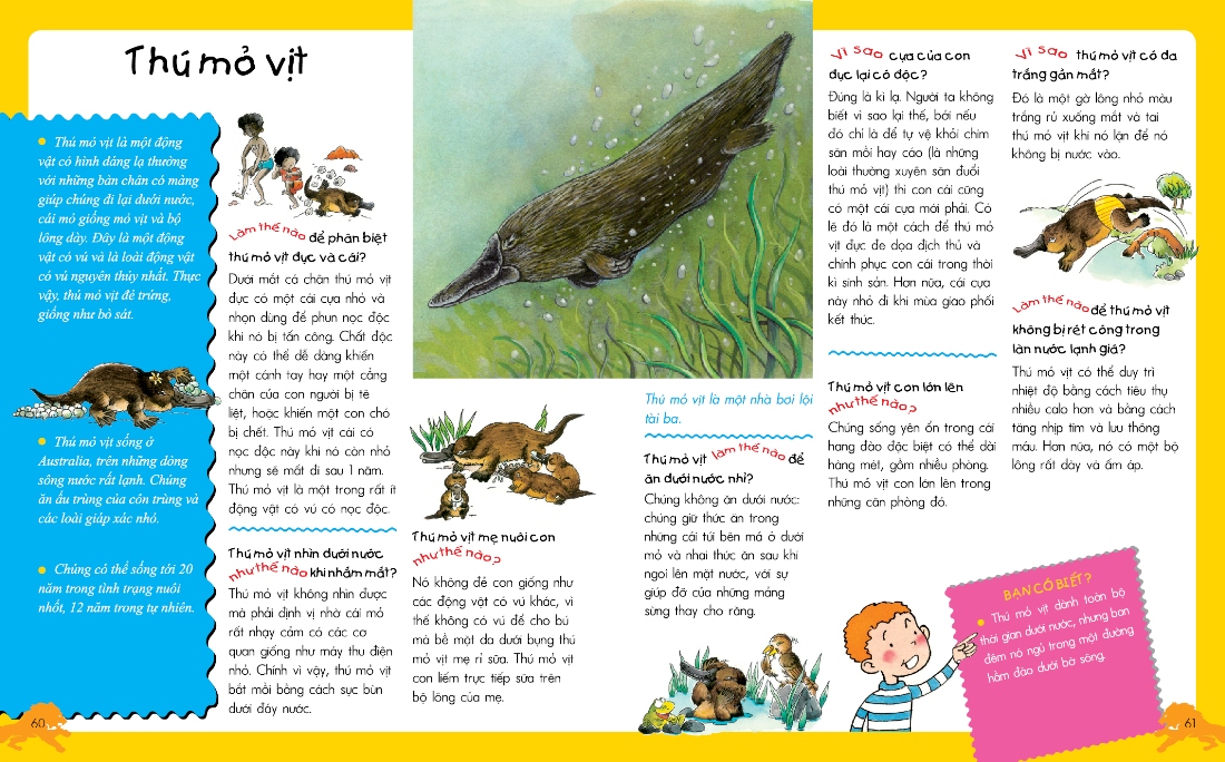 vì sao? như thế nào? động vật (tái bản)