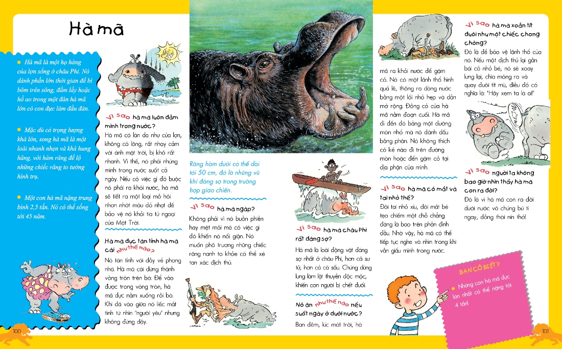 vì sao? như thế nào? động vật (tái bản)